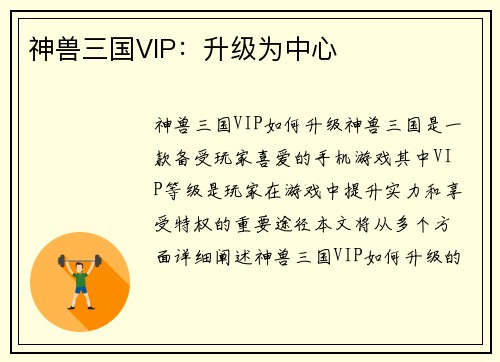 神兽三国VIP：升级为中心